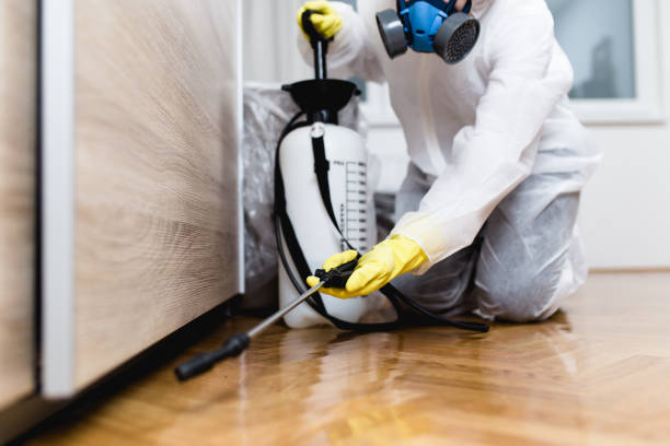 Best Mosquito Control Services  in Stiles, PA