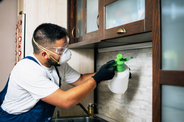 Best Pest Removal Services  in Stiles, PA