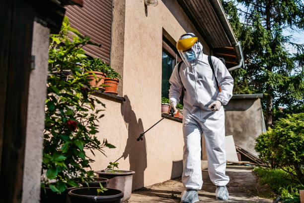 Wasp Removal Services in Stiles, PA