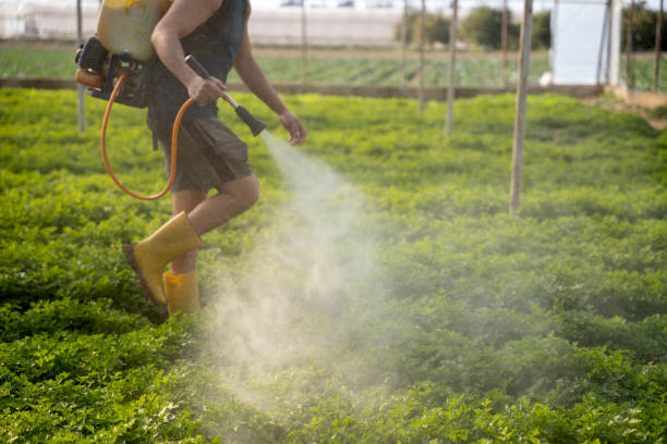 Best Pest Removal Services  in Stiles, PA