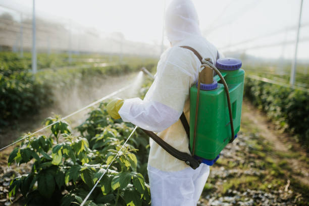 Best Affordable Pest Control Services  in Stiles, PA